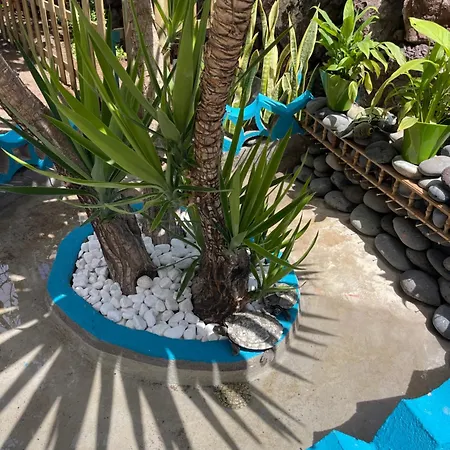 Apartment Casita Playa Americas 150m De La Playa Playa de las Americas (Tenerife)